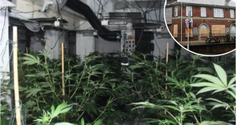 Shkon në 11 numri i të arrestuarve për kontrabandimin e shqiptarëve në Angli, 2 prej tyre gra