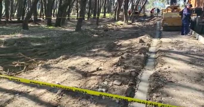 Punimet në rrugë zbulojnë skeletin, gjenden eshtra njerëzore në pyllin e Sodës