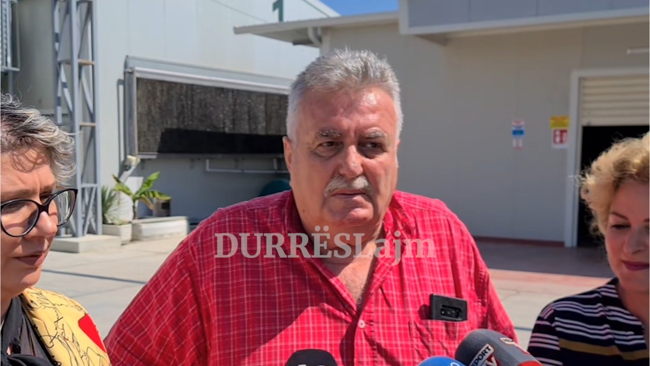 Gripi i Shpendëve, kompanitë e dëmtuara në Durrës kërkojnë dhënien e dëmshpërblimit: Asnjë veprim nga ana e qeverisë deri tani (VIDEO)