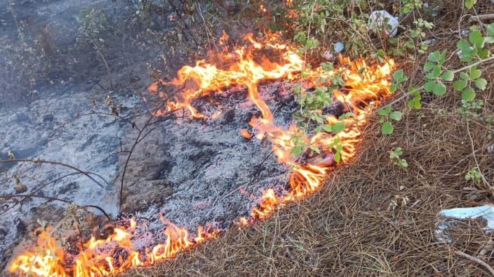 Zjarr në sipërfaqen pyjore në Spille, rrezikohen automjetet dhe bizneset (FOTO)