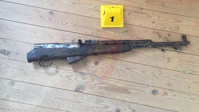 Policia gjen armë dhe fishekë në zgavrën e një peme