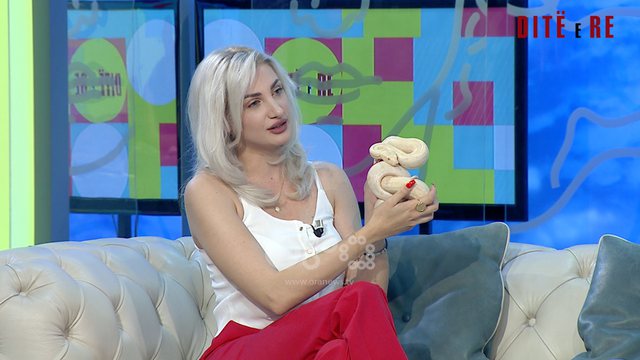 Të jetosh me gjarprin 1 metra në shtëpi, Anisa u përgjigjet pyetjeve të kureshtarëve: Ishte dashuri me shikim të parë