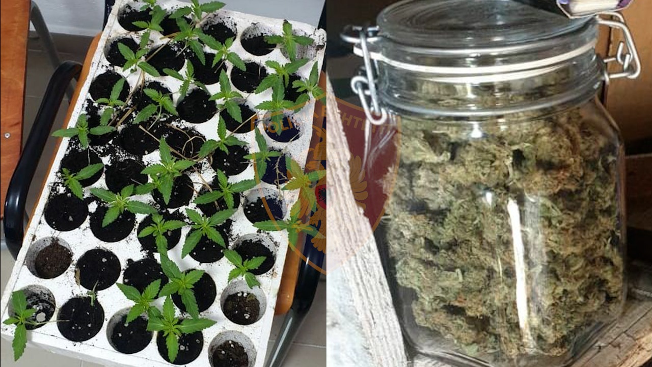 EMRAT/ Kanabis në kubikë dhe gati për shitje, dy të arrestuar