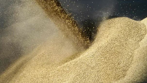 Kriza globale ushqimore, Ukraina: Kemi krijuar dy rrugë kalimi për eksportimin e grurit