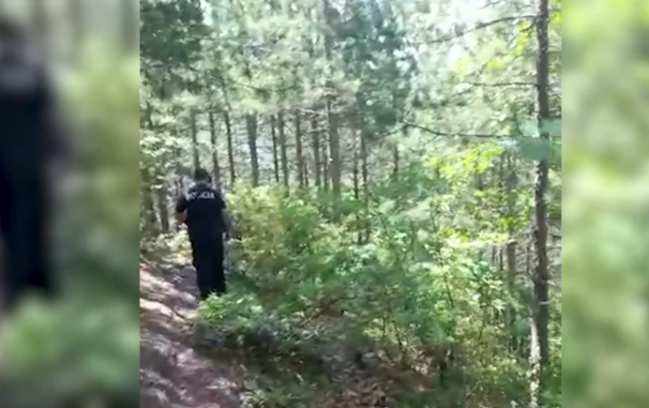 Me armë dhe bimë kanabis, arrestohet një person, kryeplaku i fshatit në procedim