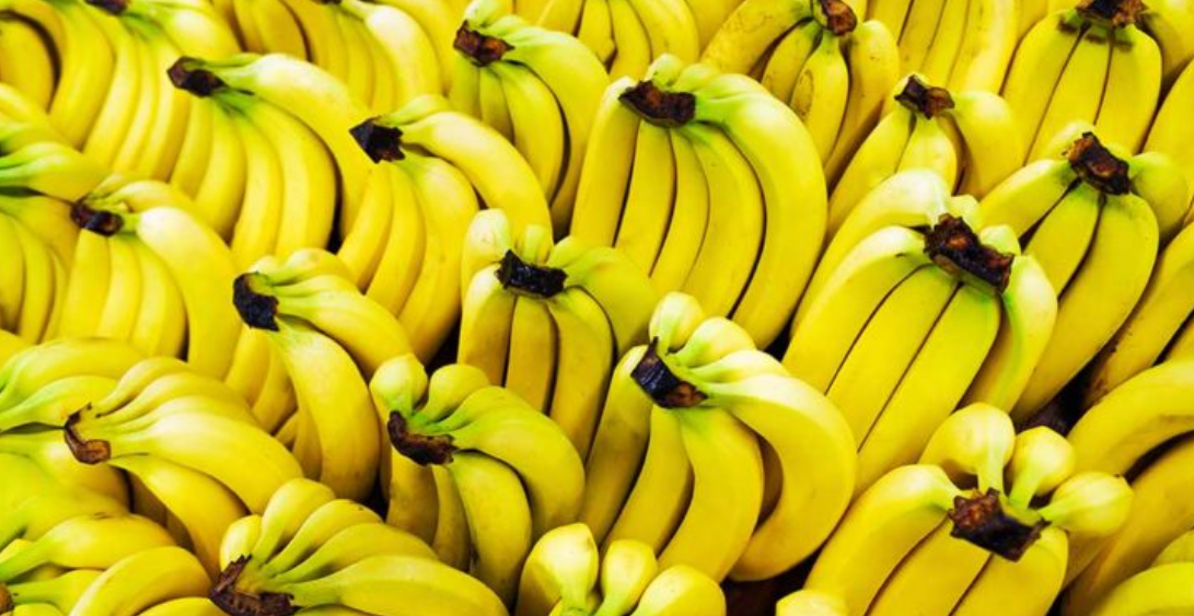 Trafikantët marrin bananet e gabuara, 840 kg kokainë përfundon në supermarketet çeke