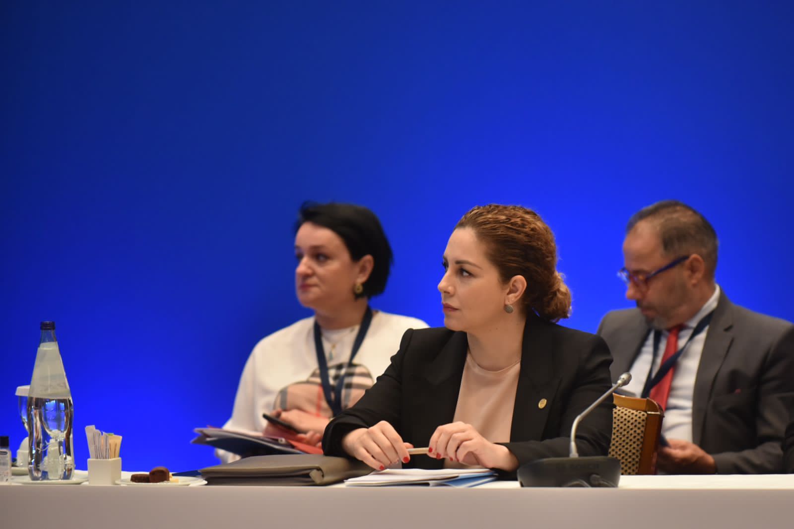 Nesër mbledhja e Këshillit të Sigurimit, Shqipëria pjesë e veprimtarisë shënjuese