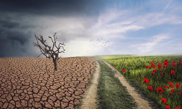 Ndryshimet klimatike, kërcënim më i madh sesa lufta