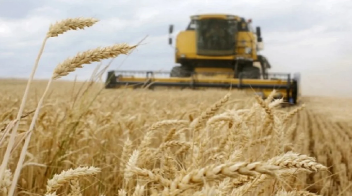 Erdogan-Biden: Është e mundur të hapet një korridor për grurin nga Ukraina