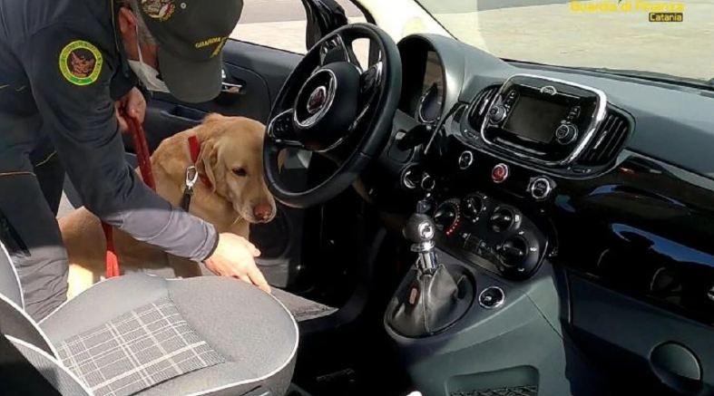 Dënohen me burg dy shqiptarët e grupit të “Habilajve” dhe tre shtetas italianë