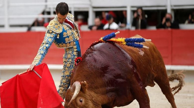 Shkatërrohet tribuna në një garë me dema, katër të vdekur dhe qindra të plagosur në Kolumbi