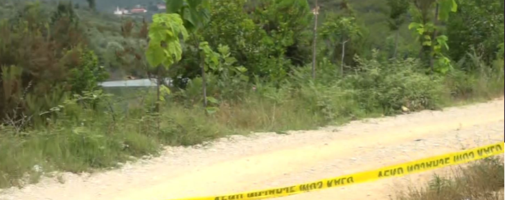 Makina u fundos në rezervuar, konfirmohen dy viktima, nxirren të pajetë një djalë e një vajzë