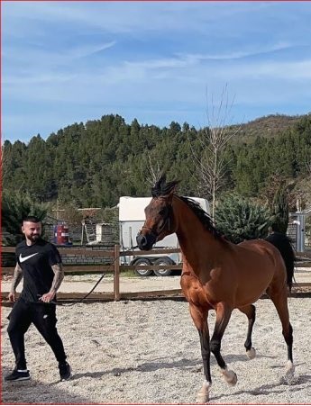 E kaluara e errët/ U vra sot në Tiranë me eksploziv në makinë, 27-vjeçari i akuzuar për vrasje edhe në Greqi