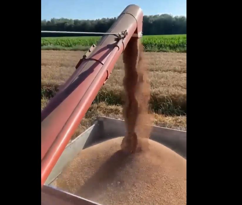 Rama: Vijon procesi i rimbursimit me kartat e naftës falas për mbi 5,000 fermerë