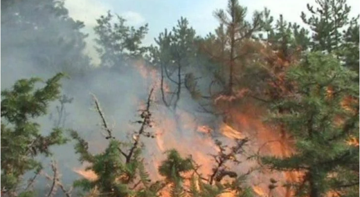 Krijohet vatër zjarri në zonat pranë Rrugës së Kombit, rrezikohen banesat
