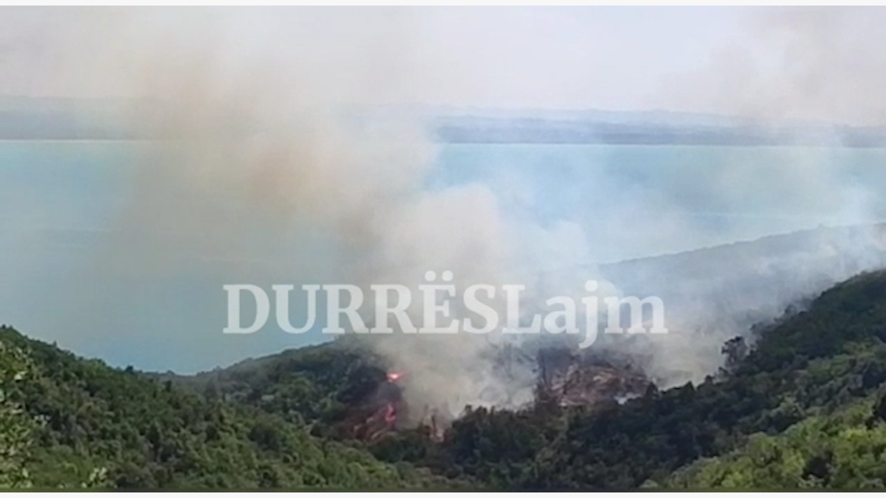Vatër zjarri në Shetaj, shkrumbohet sipërfaqja me bimësi dhe shkurre (VIDEO)