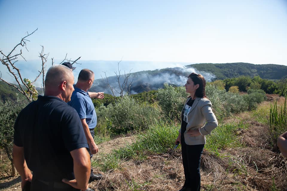 Zjarret në Durrës, Sako: Po monitorojmë situatën, presim ushtrinë për të neutralizuar një vatër