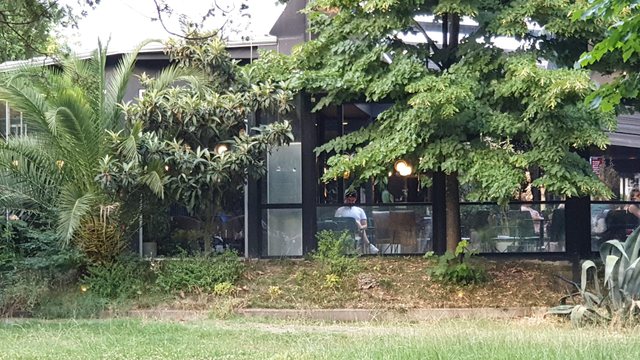 30-vjeçari qëlloi me armë në drejtim të në grupi fëmijësh në Shkodër, dalin pamjet nga vendi i ngjarjes, ja ku përfundoi plumbi