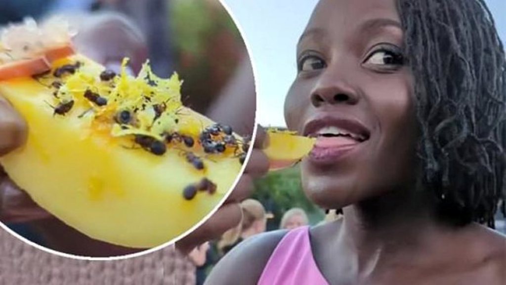 Fituesja e çmimit Oskar shfaqet duke ngrënë milingona, shokohen fansat