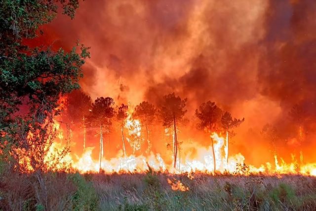 I nxehti ekstrem “djeg” Europën, vatra zjarri të përhapura thuajse kudo në Kontinentin e Vjetër