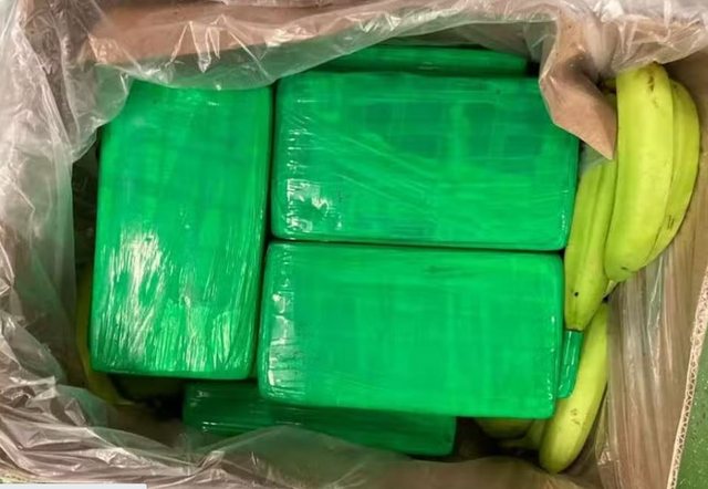 Arrinte vlerën 40 milionë paund, sekuestrohet kokaina e fshehur në ngarkesën me banane (FOTO)
