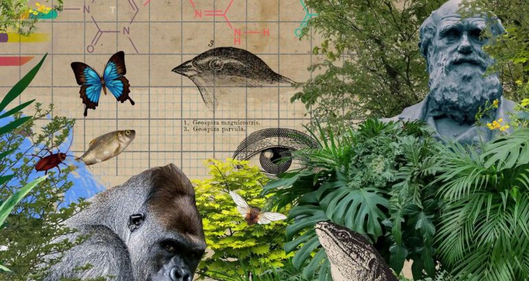 A kemi nevojë për një Teori të re të Evolucionit? Shkencëtarët ende s’i dinë disa prej përgjigjeve