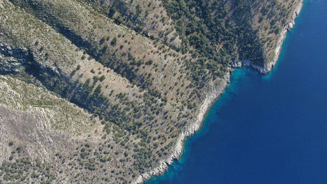 Humbi teksa bënte hiking me qenin, turisti gjerman gjendet në Karaburun