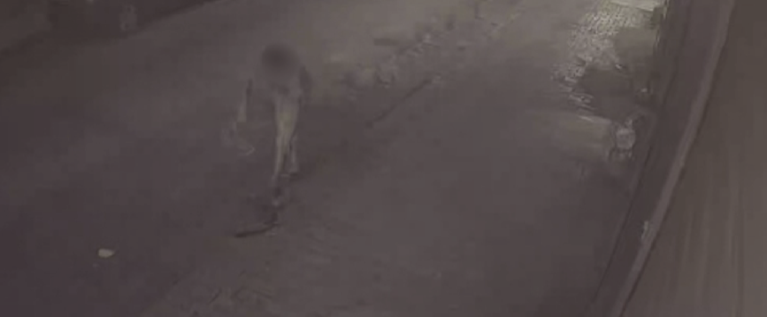 Vidhte kabujt elektrikë dhe linte qytetin në “terr”, arrestohet 34-vjeçari në Durrës (VIDEO)