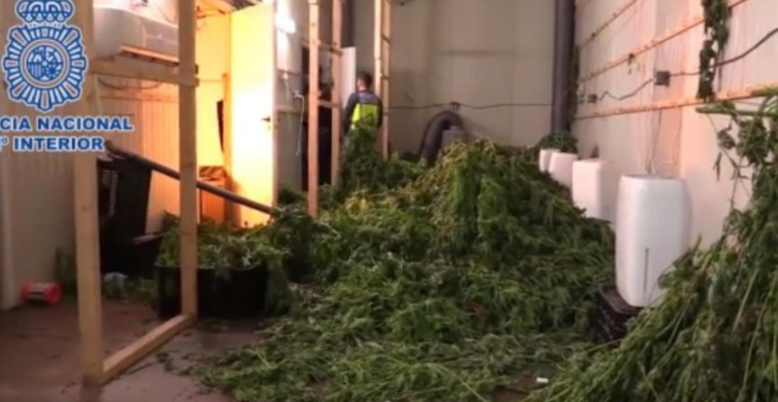 Trafikanti shqiptar në Spanjë vdes gjatë arratisjes nga policia, arrestohen 7 bashkatdhetarët