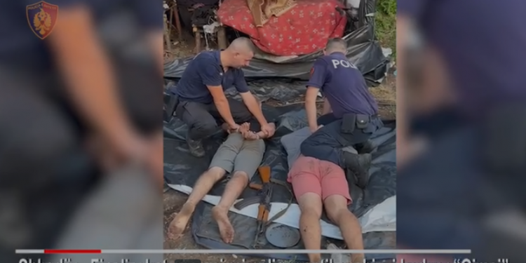 Zbulohet sera me kanabis në Shkodër, arrestohen 2 të rinjtë