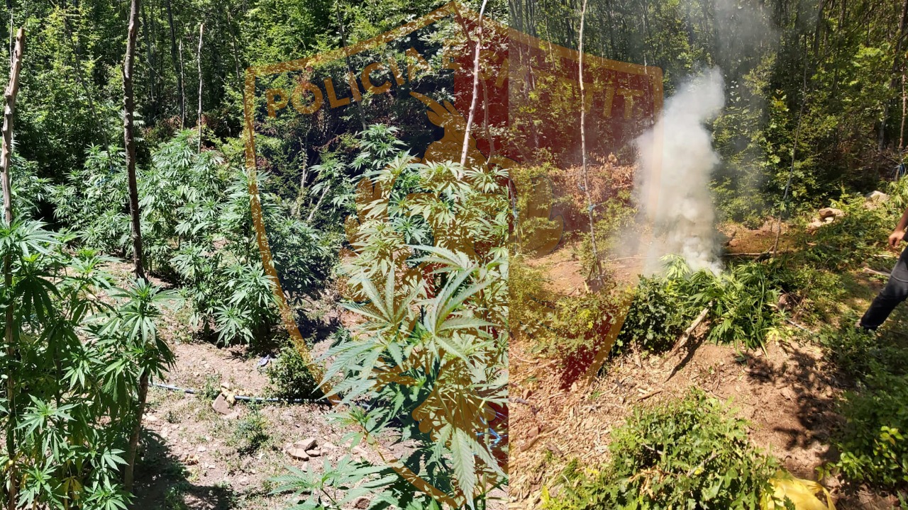 Po vadiste hashashin, kapet “mat” nga policia e Durrësit 20-vjeçari