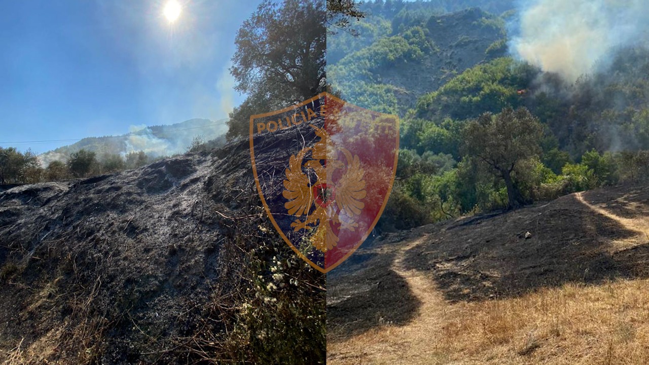 Procedohet 20-vjeçari, dyshohet se ndezi zjarrin që dogji pyllin në Shijon