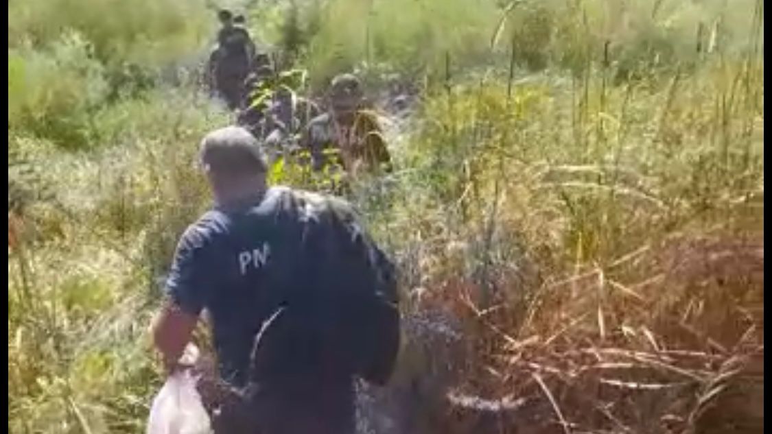 Zjarrfikësit e Durrësit luftojnë flakët me mjete primitive, shpresa e fundit rënia e shiut (VIDEO)