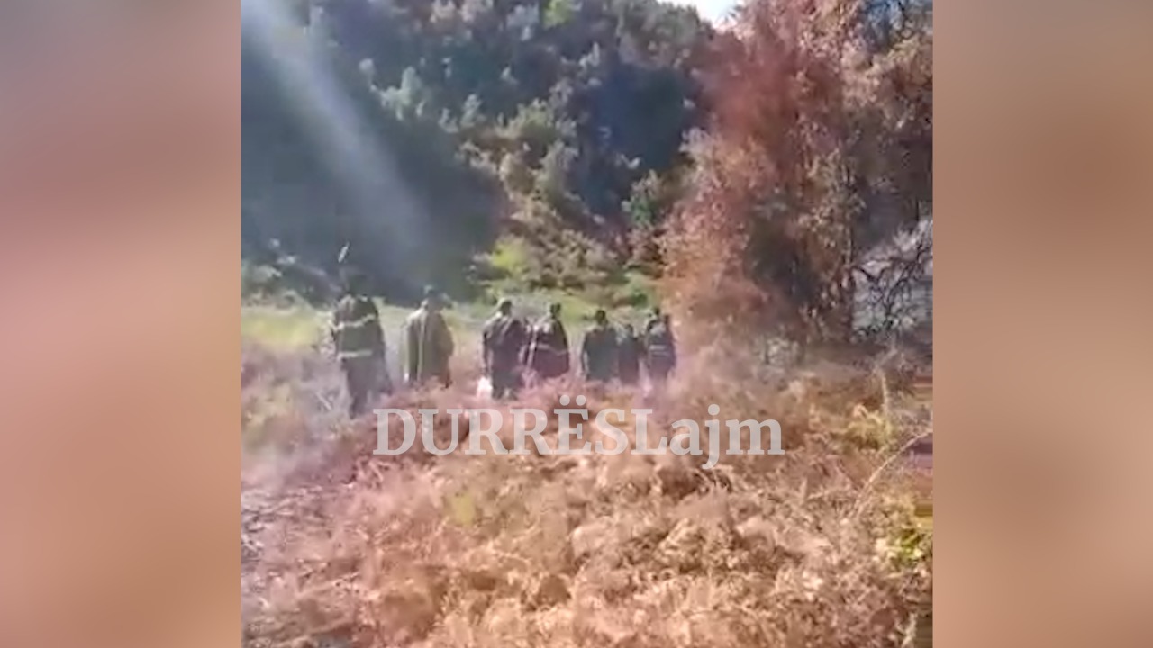 Zjarri në Kepin e Rodonit/ Zjarrfikësit udhëtojnë 8 kilometra në këmbë, “shpëtimi” për shuarjen e flakëve është vetëm shiu (VIDEO)