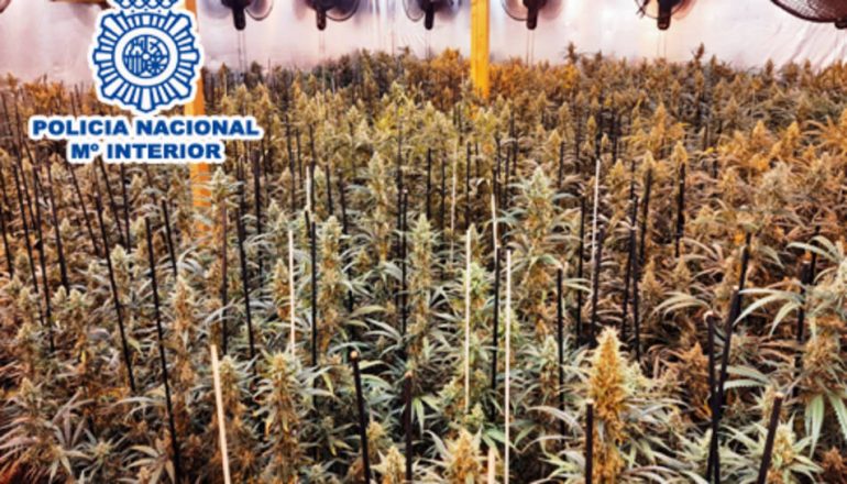 Goditen shtëpitë e barit të shqiptarëve në Barcelonë, 11 prej tyre përfundojnë në pranga