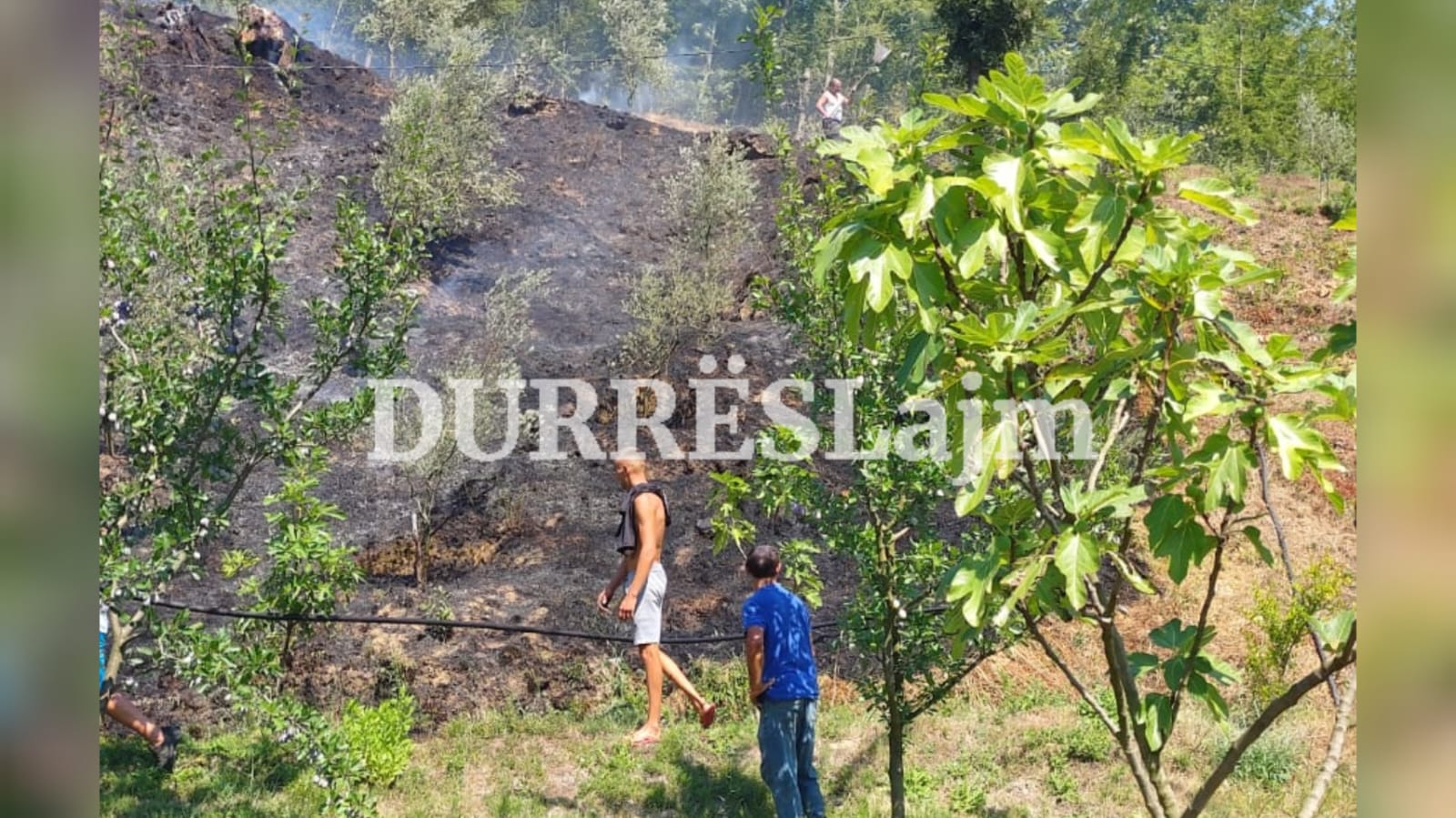 Dy vatra zjarri në dy zona të qarkut të Durrësit (VIDEO)