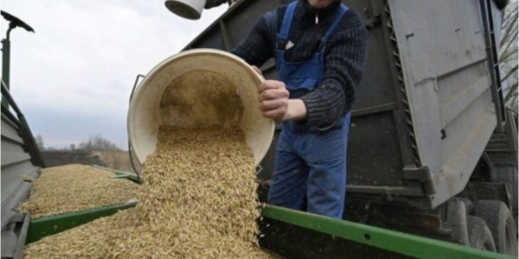 Rusia dhe Ukraina firmosin marrëveshjen për transportimin e grurit