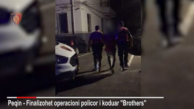 Kultivonin drogë,arrestohen 2 vëllezërit, si i monitoronin parcelat me dylbi