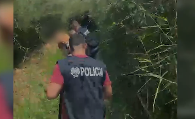 Kapet duke vaditur kanabisin, arrestohet 35-vjeçari, në pranga dhe vëllai bashkëpunëtor