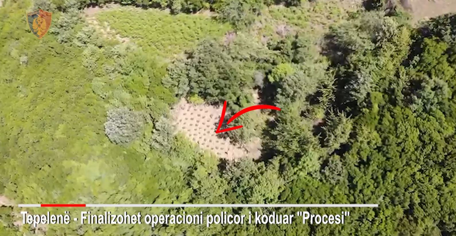 Shpyllëzoi tokën për të mbjellë kanabis, arrestohet 32-vjeçari