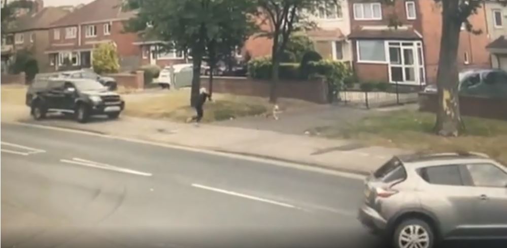 Pamje mbreslënëse! Sheh makinën që humbi kontrollin, momenti kur qeni shpëton pronaren nga vdekja