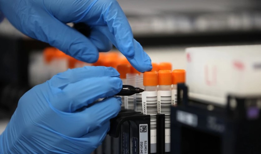 Studimet e reja: Tregu i kafshëve ishte origjinë e COVID-19