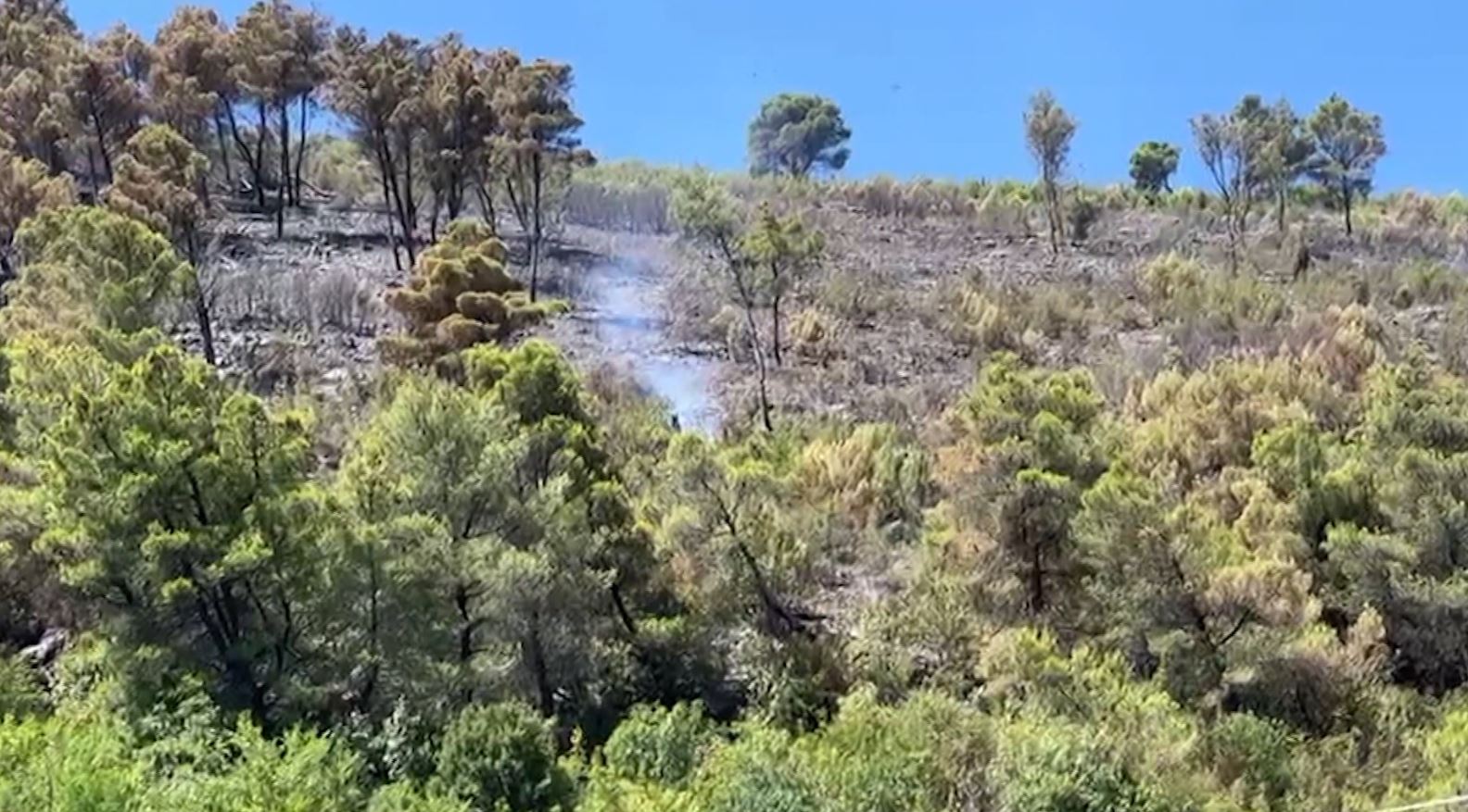 Dy vatra zjarri aktive në vend, në Durrës e në Lezhë! Apeli për kujdes gjatë fundjavës