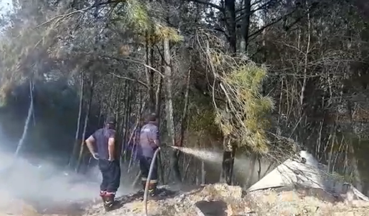 Kurora e pishave në Krujë ende nën pushtetin e flakëve