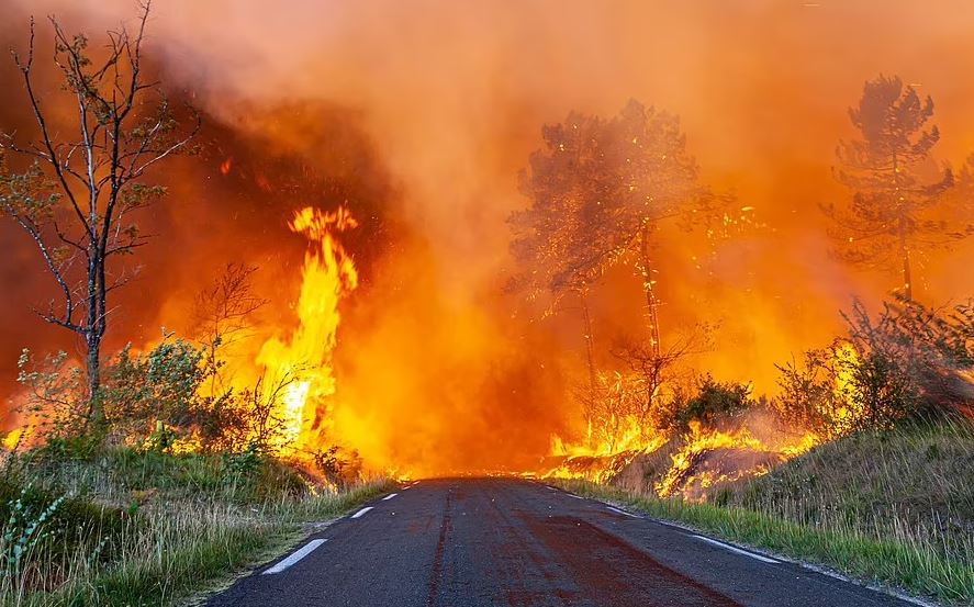 Temperatura rekord prej 44 gradë celcius në Francë. Shënohen mbi 1 mijë vdekje në Spanjë dhe Portugali