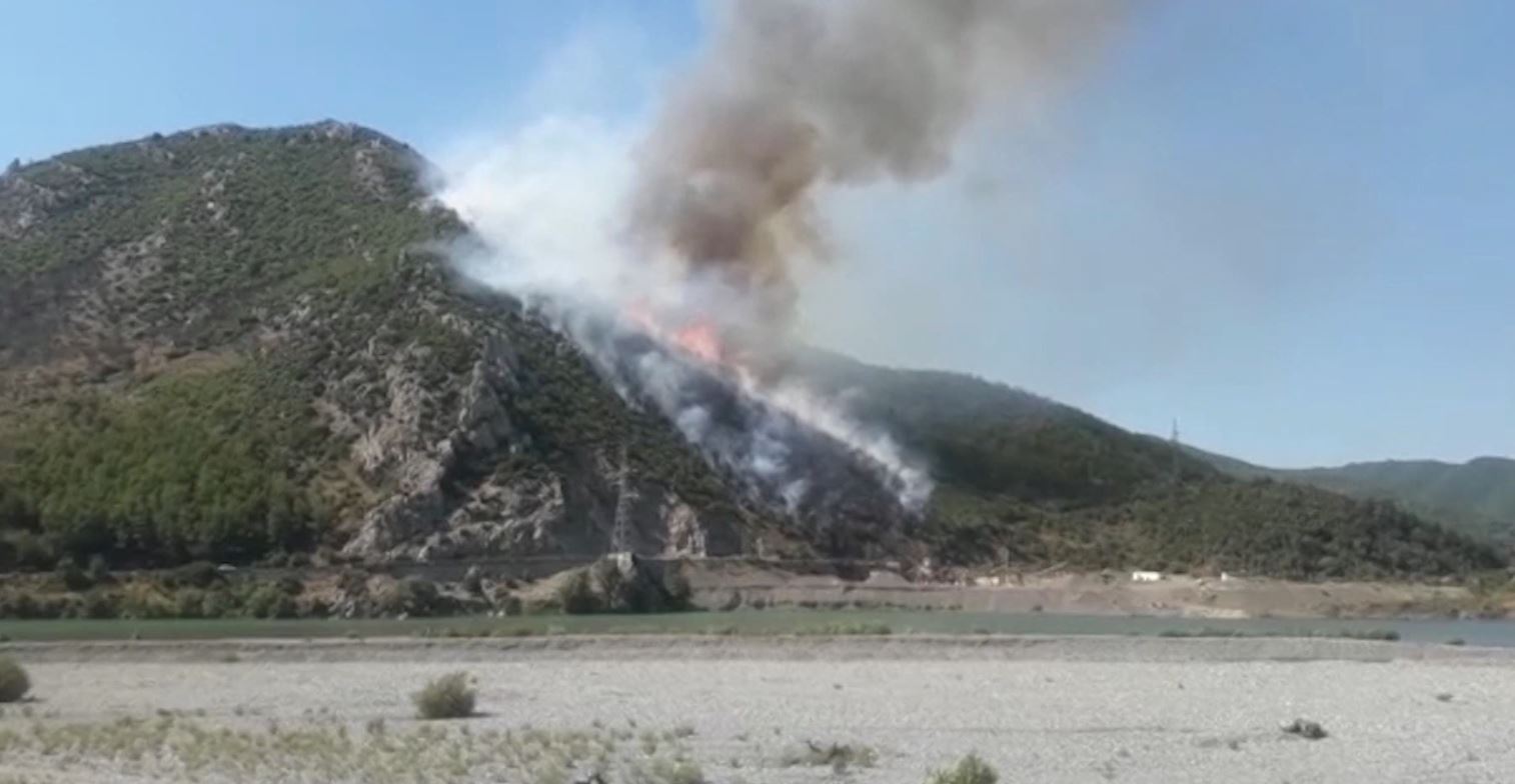 15 vatra zjarri në 24 orë, vetëm dy janë aktive