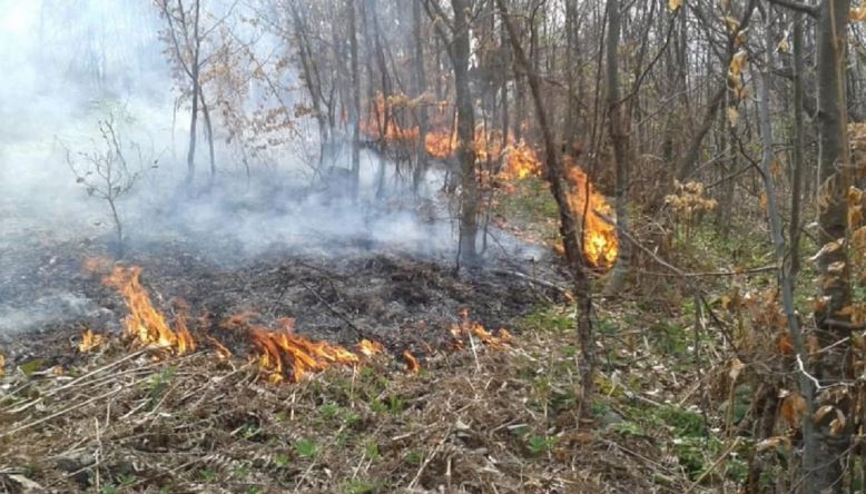 26 vatra zjarresh, angazhohen 435 efektivë zjarrfikës me 46 mjete dhe një helikopter