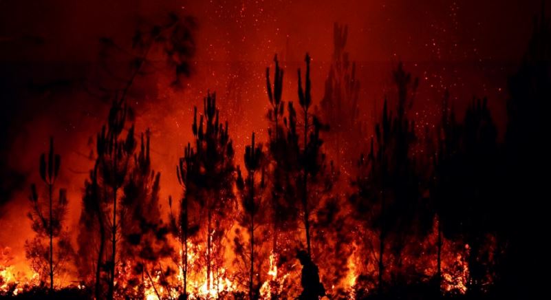 Çfarë qëndron pas valës vdekjeprurëse të zjarreve në Evropë?