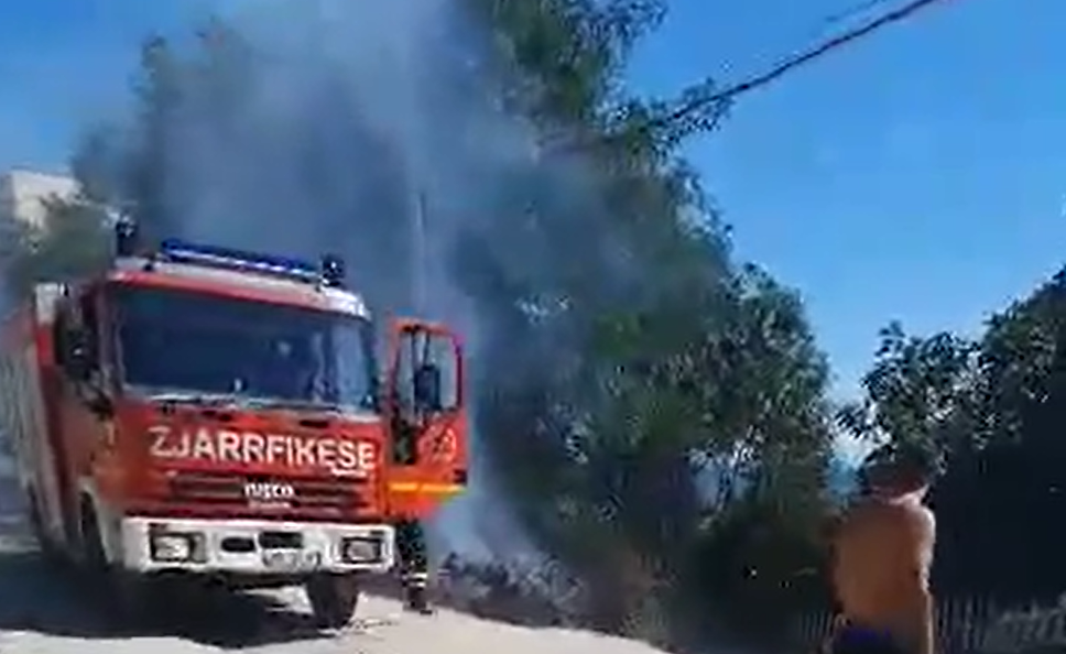 Djegia e 2 makinave në Currila, policia e Durrësit zbardh arsyet e rënies së zjarrit