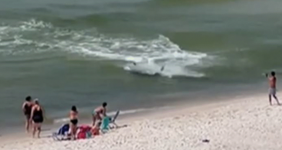 Peshkaqeni i afrohet bregut, pushuesit ikin të tmerruar (VIDEO)